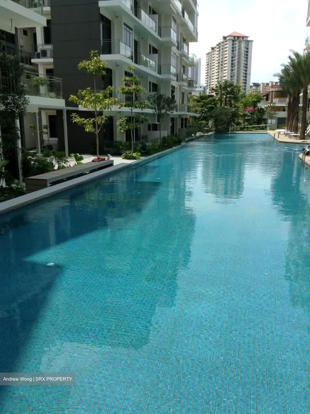 The Foresta @ Mount Faber (D4), Condominium #554219291
